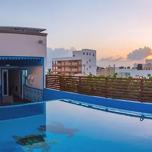 https://casa-barco-hotel-boutique.quintano-roohotels.com